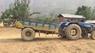 Limgha Gau Ghumdai (Gulmi)sundar gau