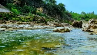 Soft River Flow with Morning Birds &ndash; Peaceful Sounds to Start Your Day