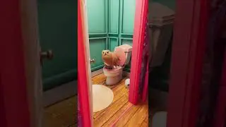 Bun in training
