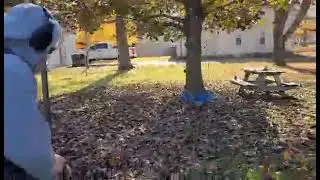 Red Maple Cleanup Stihl Blower.