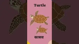 WATER ANIMALS AND THEIR NAMES #education #wateranimals #wateranimalsforkids #animalsnameforkids