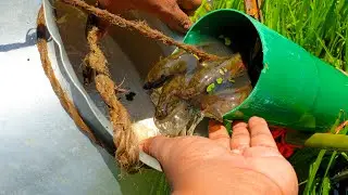 Believe This Fishing? Unique Fish Trapping System | New Technique Of Catching Country Fish 2020 !