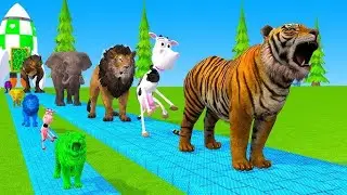 Long Slide Game videos ll #elephant #cat #tiger #cow #gorilla #video #cartoon #video #funny3danimals