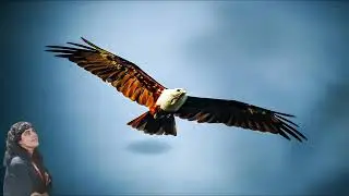 Asas de &aacute;guia- Soraya Allmer