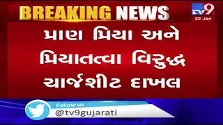 Nithyananda ashram controversy : Charge sheet filed against Pran Priya and Priya Tatva