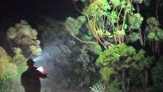 Cyclone Tam brings wild weather to Northland New Zealand
