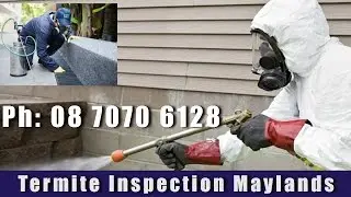 Termite Inspection Maylands