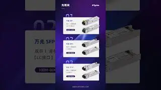 Next-Gen Optical Solutions: Scale from 1G to 800G with Flyin Group （Flyin Optronics）