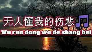 无人懂我的伤悲🎵超好聽🎵好听的老歌🎵Wu ren dong wo de shang bei