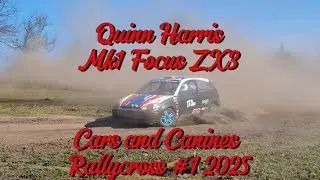 Cars and Canines Rallycross - Ford Focus
