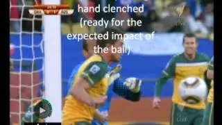 Harry Kewell evidence of deliberate handball in World Cup Game