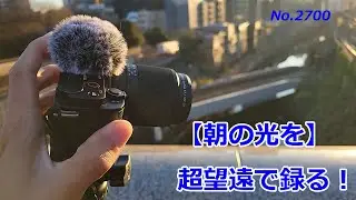 【朝の光を】超望遠で録る！（動画No.2700）