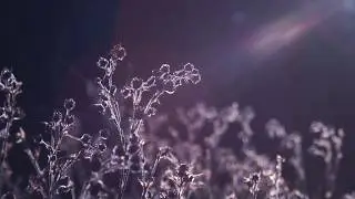 Radical Face - Ghost Towns (video)