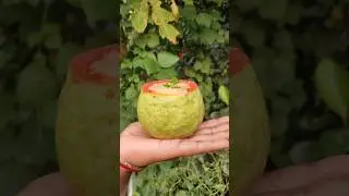 Orange Juice With Guava #shorts #orange #juice #guava #fruit #healthy #viral 🥲