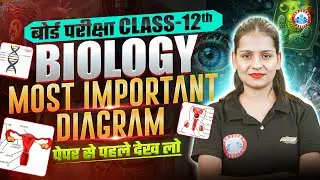 Class 12 Biology Diagrams One Shot | 12th Biology Important Diagrams | Bihar Board Biology Diagrams