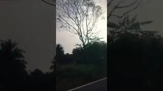 #🌳🌴🌿Yuva kutty#🌳&hearts;️ travel time 🚗&hearts;️#kannil kai kannil #song# shorts #🌳🌴🌿
