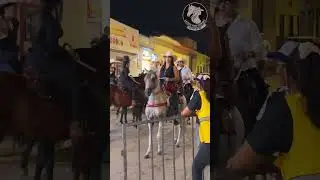 Cowgirl Beautiful