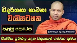 විශේෂ භාවනා වැඩසටහන | පළමු කොටස | හසලක සීලවිමල හිමි | Guided Meditation