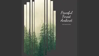 Ambient Chill - Nature Sounds