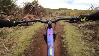 MTB Freeride Madeira Februar 2023 - Bush-Gap - Westen