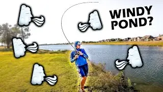 The BEST LURE For Pond Bass Fishing In WIND?