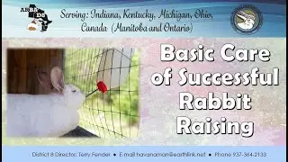 Basic Care of Successful Rabbit Raising - Jamie Green - June 11, 2020