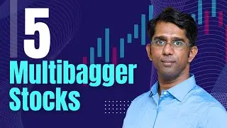 5 Multibagger Stocks in India for the Next 5 Years