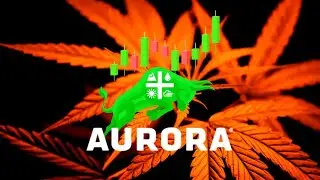 Best Types of Stocks to Buy Post Election - Cannabis Stocks and the reason for recent rallies!