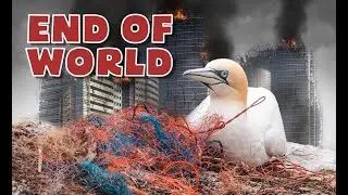 Zero Population | The World without Humans |