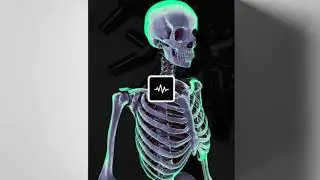 Nick Mira Phantom Loop Kit [✔️FREE DOWNLOAD✔️]