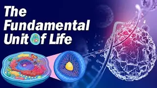 Class 9th II cell and discovery of cell II chapter -5 II lecture -1st