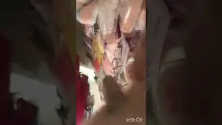 2nd mini haul video of miniso from patna city centre mall