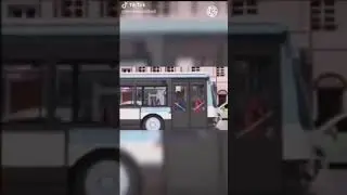 Como cuando el Cat Noa maneja el bus: