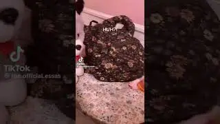 ESSA/ESA TIKTOK COMP ❤️ - 10+ mins!