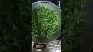 #shorts How to store Methi (Fenugreek) for Summers #cooking #store #methi #fenugreek #winterspecial