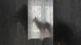 Кто это ?👀
