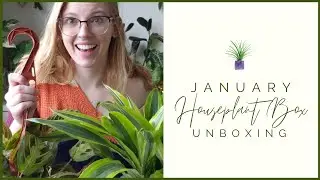 Monthly Subscription Unboxing | January Houseplant Subscription Box
