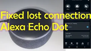 How to resolve lost connection of Amazon Alexa Echo Speaker to internet if changed Wifi