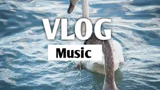 [NO COPYRIGHT] lkson_Last summer. Vlog Music.2021