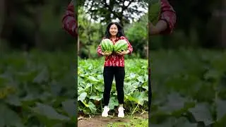 FREE MELONS YIPPIE