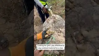 #GoldRush #MiningLife #Prospecting #GoldProspector #OxidationZone #MiningExploration #GeologyHunt