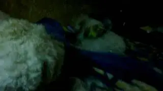 VID 00025 20091014 2105