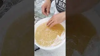 Zbieranie pianki z miodu