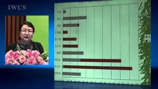 The Development and Current Situation of Chinese Forest Product Industry