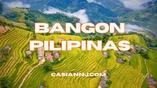 🎶 Bangon Pilipinas - Official OPM Tribute Song 2025 🌟 | CASI-Alon Strength 😢