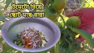 টমেটো দিয়ে ছোট মাছের তরকারি | tometo diye coto macer torkari | @jerin1234-5 #cooking 