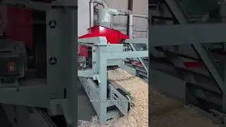 Large-scale wood chipbers boast high processing efficiency. #woodcrushers #machine #woodchippers