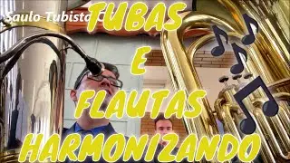Hino 193 - Nada jamais me Faltara (Tuba e Flauta Buscando o Céu )