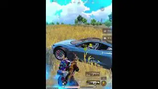 Car skins benefits