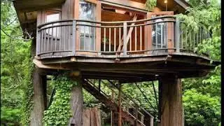 Brilliant Ideas For Your Dream Tree House!